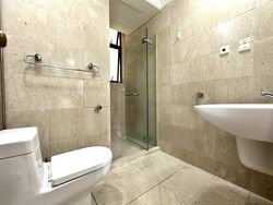 Valley Park (D10), Condominium #467711351